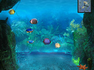 At the Depth - 3D Aquarium Screen Saver screenshot